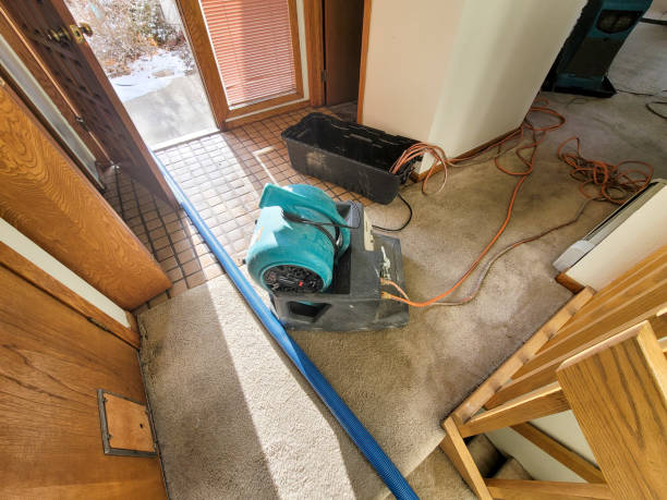 Professional Water damage restoration in WA