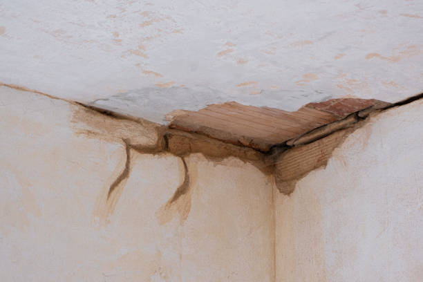 Best Emergency water damage restoration  in Indianola, WA