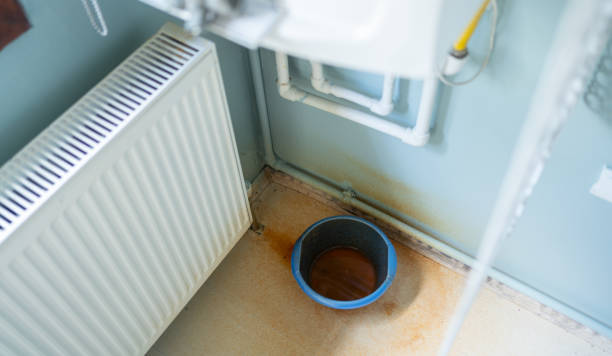 Best Sewage cleanup and water damage restoration  in Indianola, WA