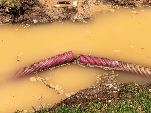 Best Residential water damage restoration  in Indianola, WA