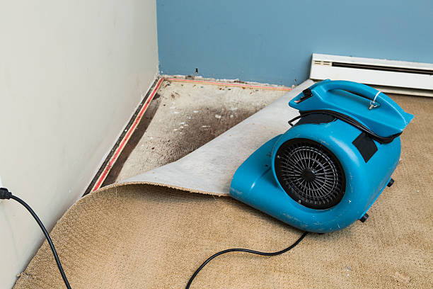 Best Water damage mitigation services  in Indianola, WA